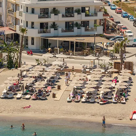The Palms